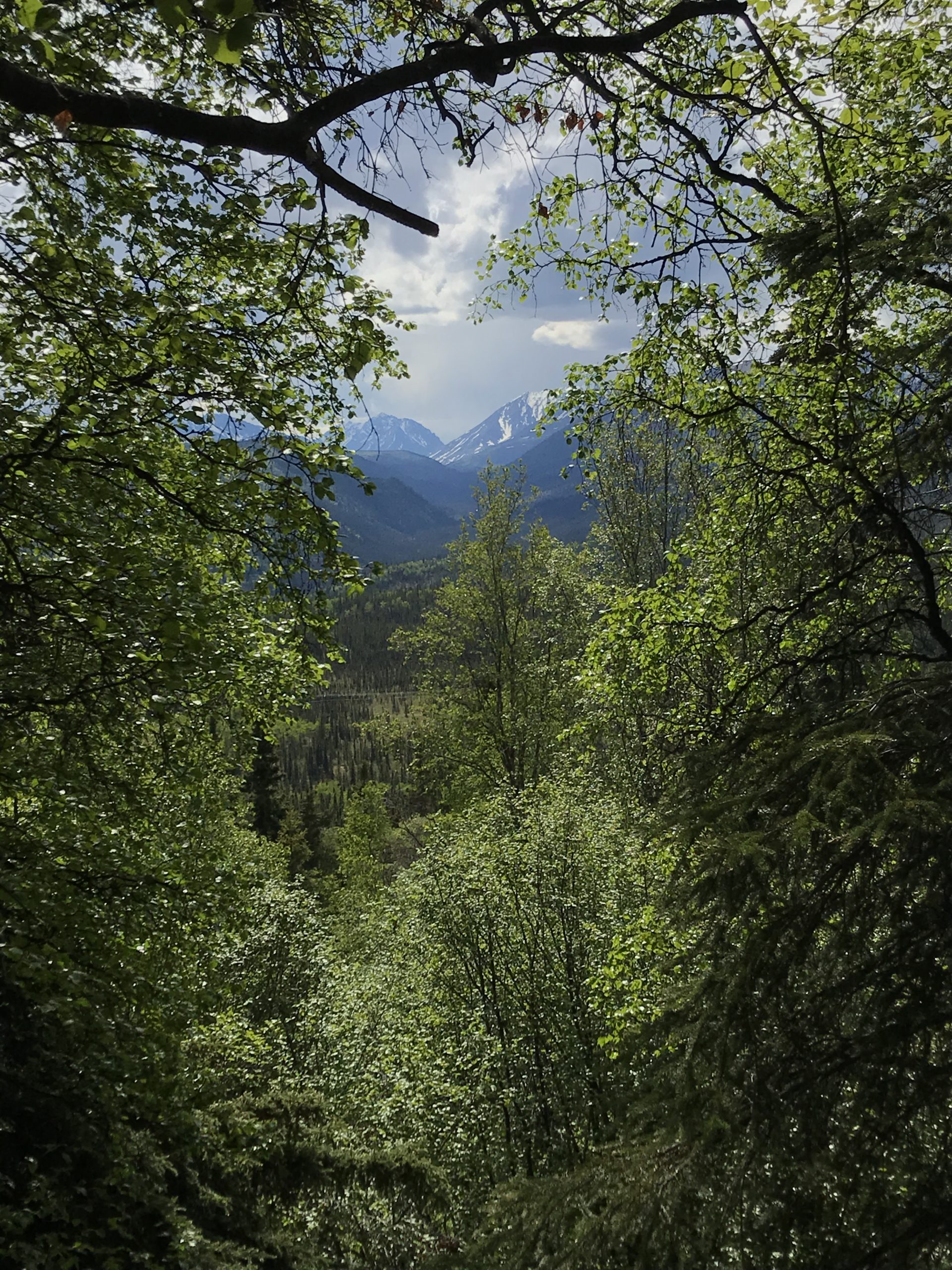 IMG_8223
